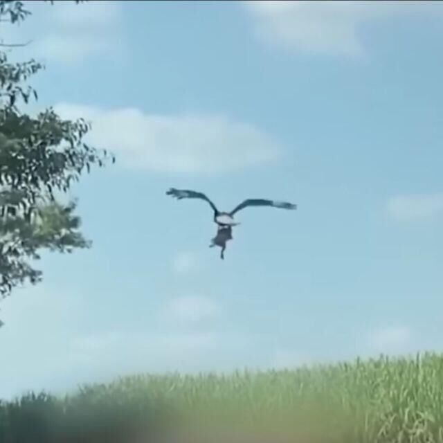 Typing Word：可在网页上使用的在线英语学习和记忆工具