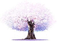 樱之空动漫：提供动漫资源在线播放且全面的动漫资源库