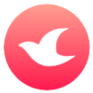 云鸽：文件传输助手网页版