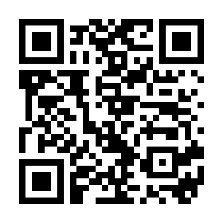 WebToApp开源工具：无代码在手机上将网站转换为安卓应用