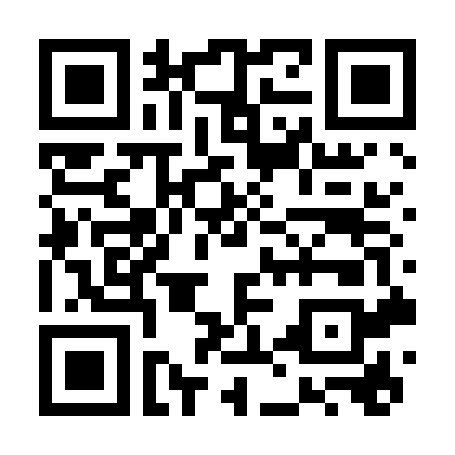 StockCake: 获取高质量照片的世界