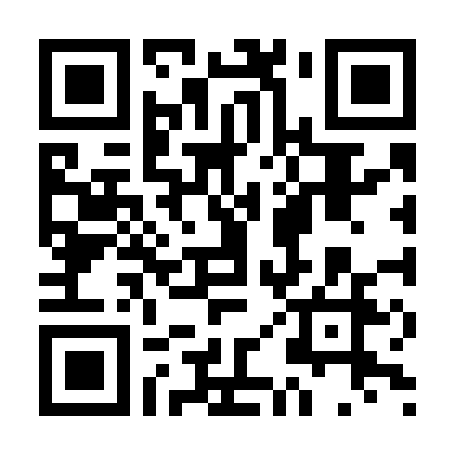 Webtor.io:在线查看和播放磁链内容