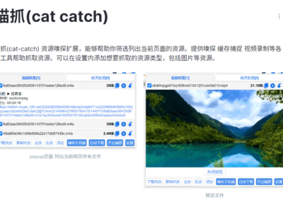 猫抓：chrome资源嗅探扩展