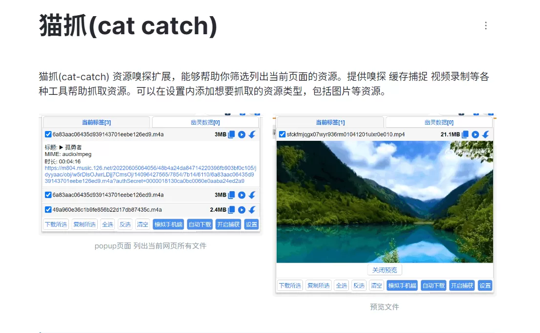 猫抓：chrome资源嗅探扩展-享乐分享