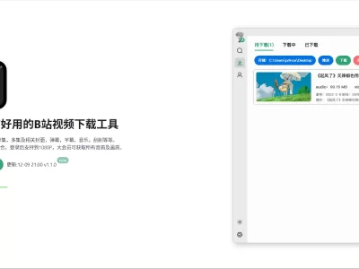 Bilidown：一款简洁好用的B站视频下载工具