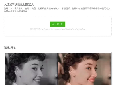 bigmp4：人工智能视频无损放大