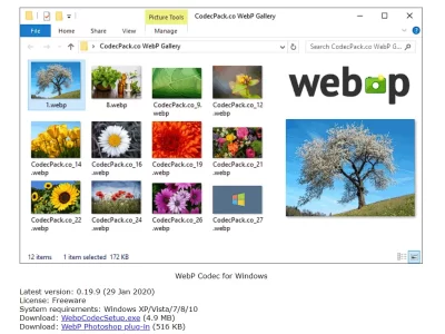 WebP Codec for Windows：让Windows可以查看WebP文件