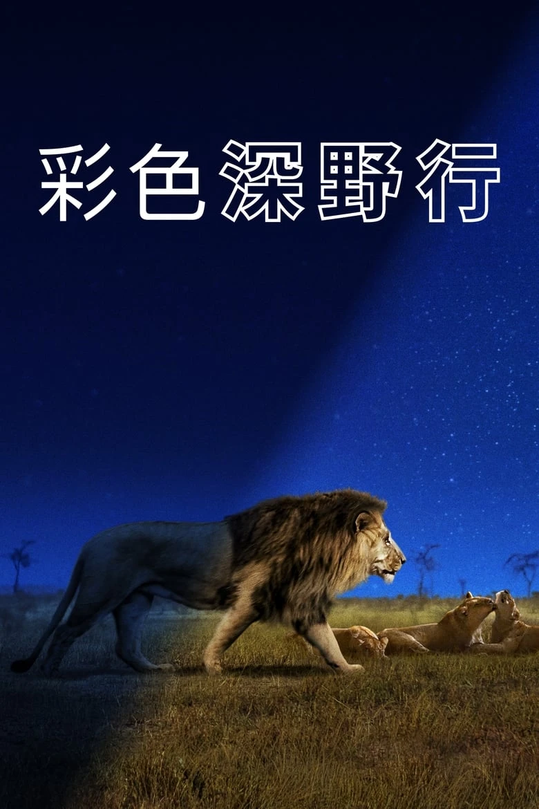 《夜色中的地球》(2020)[第1季][全6集][4K][简繁英字幕][纪录片][汤姆·希德勒斯顿]