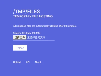 /tmp/files：单文件支持100MB的临时文件上传服务