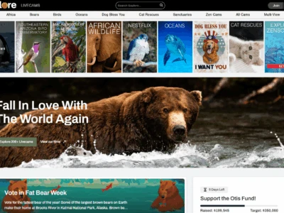 Explore.org：提供自然景观和动物的直播摄像头，推广自然保护和教育