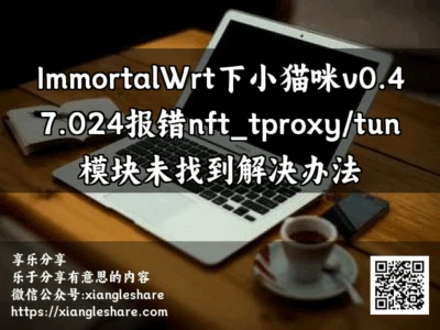 ImmortalWrt下小猫咪v0.47.024报错nft_tproxy/tun模块未找到解决办法