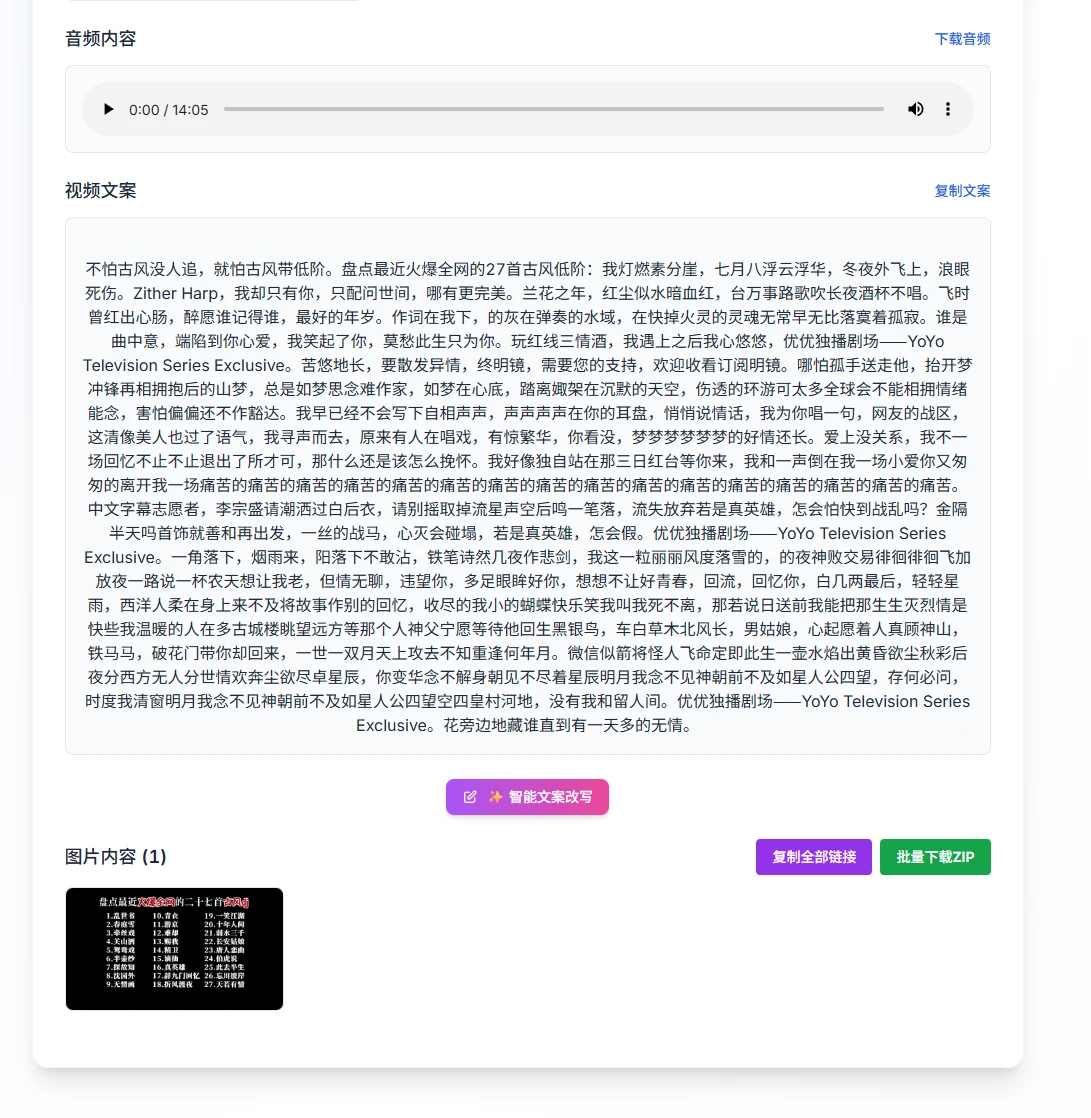 AnyToCopy：一站式免费在线视频文案提取与去水印工具-享乐分享