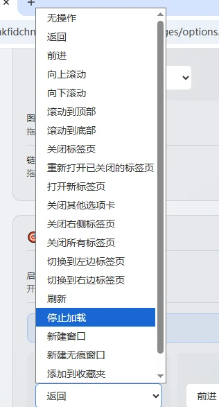 FlowMouse：心流鼠标手势，一款追求极致流畅与隐私保护的Chrome浏览器扩展-享乐分享