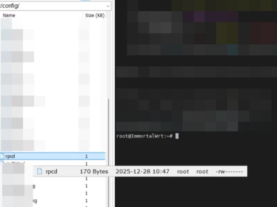 ImmortalWrt密码确定正确但是提示密码错误导致无法登录