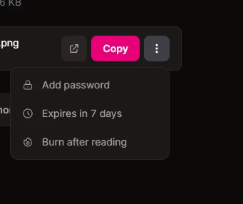 storage.to:免费安全的文件分享平台介绍-享乐分享