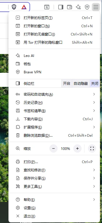 SlimBrave Neo：通过企业托管策略来禁用Brave浏览器中不需要的功能-享乐分享
